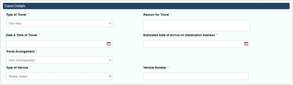 AP ePass Online Application for One Way Screen 4